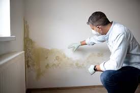 Best Water Damage & Mold Remediation  in Topeka, KS